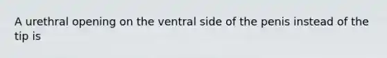 A urethral opening on the ventral side of the penis instead of the tip is