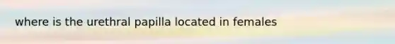 where is the urethral papilla located in females