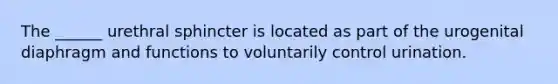 The ______ urethral sphincter is located as part of the urogenital diaphragm and functions to voluntarily control urination.