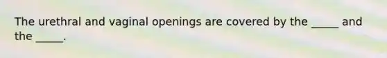 The urethral and vaginal openings are covered by the _____ and the _____.