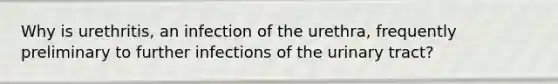 Why is urethritis, an infection of the urethra, frequently preliminary to further infections of the urinary tract?