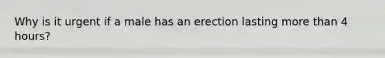 Why is it urgent if a male has an erection lasting more than 4 hours?