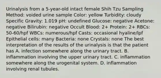 Urinalysis from a 5-year-old intact female Shih Tzu Sampling Method: voided urine sample Color: yellow Turbidity: cloudy Specific Gravity: 1.019 pH: undefined Glucose: negative Acetone: negative Bilirubin: negative Occult Blood: 2+ Protein: 2+ RBCs: 50-60/hpf WBCs: numerous/hpf Casts: occasional hyaline/lpf Epithelial cells: many Bacteria: none Crystals: none The best interpretation of the results of the urinalysis is that the patient has A. infection somewhere along the urinary tract. B. inflammation involving the upper urinary tract. C. inflammation somewhere along the urogenital system. D. inflammation involving renal tubules.