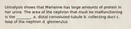 Urinalysis shows that Marianne has large amounts of protein in her urine. The area of the nephron that must be malfunctioning is the ________. a. distal convoluted tubule b. collecting duct c. loop of the nephron d. glomerulus