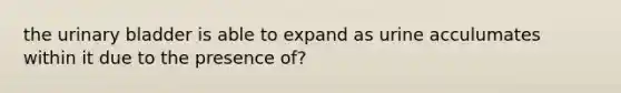 the <a href='https://www.questionai.com/knowledge/kb9SdfFdD9-urinary-bladder' class='anchor-knowledge'>urinary bladder</a> is able to expand as urine acculumates within it due to the presence of?