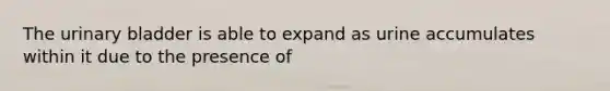 The <a href='https://www.questionai.com/knowledge/kb9SdfFdD9-urinary-bladder' class='anchor-knowledge'>urinary bladder</a> is able to expand as urine accumulates within it due to the presence of