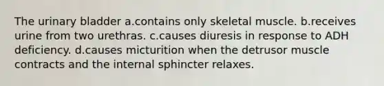 The urinary bladder a.contains only skeletal muscle. b.receives urine from two urethras. c.causes diuresis in response to ADH deficiency. d.causes micturition when the detrusor muscle contracts and the internal sphincter relaxes.