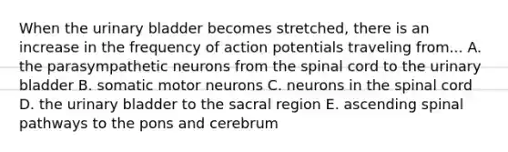 When the urinary bladder becomes stretched, there is an increase in the frequency of action potentials traveling from... A. the parasympathetic neurons from the spinal cord to the urinary bladder B. somatic motor neurons C. neurons in the spinal cord D. the urinary bladder to the sacral region E. ascending spinal pathways to the pons and cerebrum