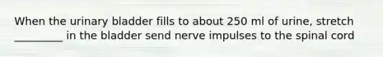 When the urinary bladder fills to about 250 ml of urine, stretch _________ in the bladder send nerve impulses to the spinal cord