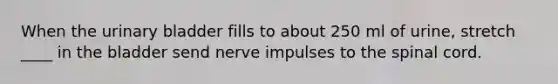 When the urinary bladder fills to about 250 ml of urine, stretch ____ in the bladder send nerve impulses to the spinal cord.