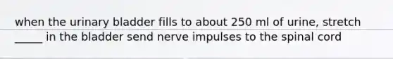 when the urinary bladder fills to about 250 ml of urine, stretch _____ in the bladder send nerve impulses to the spinal cord