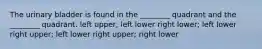 The urinary bladder is found in the ________ quadrant and the ________ quadrant. left upper; left lower right lower; left lower right upper; left lower right upper; right lower