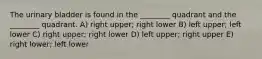 The urinary bladder is found in the ________ quadrant and the ________ quadrant. A) right upper; right lower B) left upper; left lower C) right upper; right lower D) left upper; right upper E) right lower; left lower