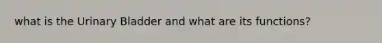 what is the Urinary Bladder and what are its functions?