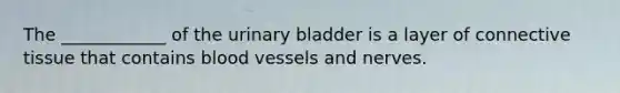 The ____________ of the urinary bladder is a layer of connective tissue that contains blood vessels and nerves.