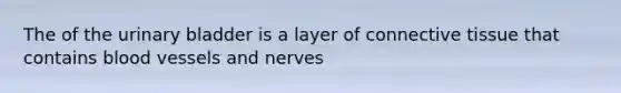 The of the urinary bladder is a layer of connective tissue that contains blood vessels and nerves