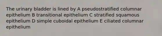 The <a href='https://www.questionai.com/knowledge/kb9SdfFdD9-urinary-bladder' class='anchor-knowledge'>urinary bladder</a> is lined by A pseudostratified columnar epithelium B transitional epithelium C stratified squamous epithelium D simple cuboidal epithelium E ciliated columnar epithelium