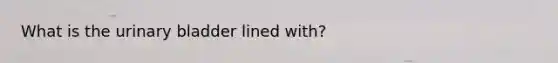What is the urinary bladder lined with?