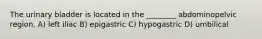 The urinary bladder is located in the ________ abdominopelvic region. A) left iliac B) epigastric C) hypogastric D) umbilical