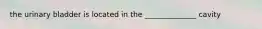 the urinary bladder is located in the ______________ cavity