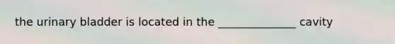 the urinary bladder is located in the ______________ cavity