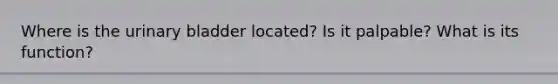 Where is the urinary bladder located? Is it palpable? What is its function?