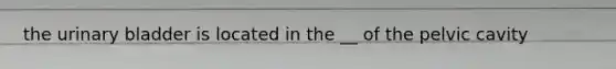 the urinary bladder is located in the __ of the pelvic cavity