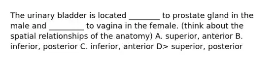 The urinary bladder is located ________ to prostate gland in the male and _________ to vagina in the female. (think about the spatial relationships of the anatomy) A. superior, anterior B. inferior, posterior C. inferior, anterior D> superior, posterior