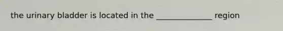 the urinary bladder is located in the ______________ region