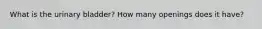 What is the urinary bladder? How many openings does it have?