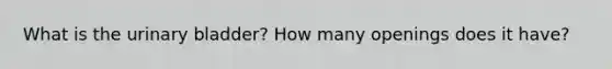 What is the urinary bladder? How many openings does it have?