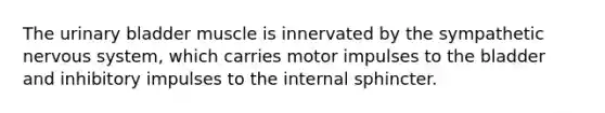 The urinary bladder muscle is innervated by the sympathetic nervous system, which carries motor impulses to the bladder and inhibitory impulses to the internal sphincter.