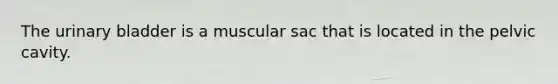 The urinary bladder is a muscular sac that is located in the pelvic cavity.