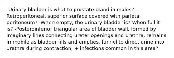 -Urinary bladder is what to prostate gland in males? -Retroperitoneal, superior surface covered with parietal peritoneum? -When empty, the urinary bladder is? When full it is? -Posteroinferior triangular area of bladder wall, formed by imaginary lines connecting ureter openings and urethra, remains immobile as bladder fills and empties, funnel to direct urine into urethra during contraction, + infections common in this area?