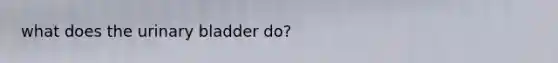 what does the <a href='https://www.questionai.com/knowledge/kb9SdfFdD9-urinary-bladder' class='anchor-knowledge'>urinary bladder</a> do?