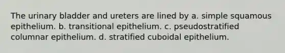 The urinary bladder and ureters are lined by a. simple squamous epithelium. b. transitional epithelium. c. pseudostratified columnar epithelium. d. stratified cuboidal epithelium.