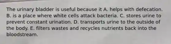 The urinary bladder is useful because it A. helps with defecation. B. is a place where white cells attack bacteria. C. stores urine to prevent constant urination. D. transports urine to the outside of the body. E. filters wastes and recycles nutrients back into the bloodstream.