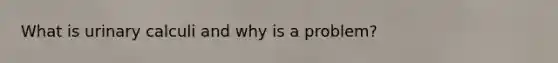 What is urinary calculi and why is a problem?