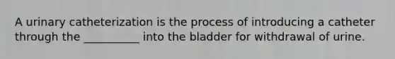 A urinary catheterization is the process of introducing a catheter through the​ __________ into the bladder for withdrawal of urine.