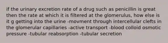 if the urinary excretion rate of a drug such as penicillin is great then the rate at which it is filtered at the glomerulus, how else is it g getting into the urine -movment through intercellular clefts in the glomerular capillaries -active transport -blood colloid osmotic pressure -tubular reabsorption -tubular secretion