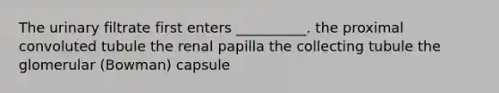 The urinary filtrate first enters __________. the proximal convoluted tubule the renal papilla the collecting tubule the glomerular (Bowman) capsule