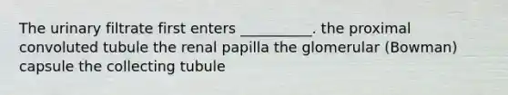 The urinary filtrate first enters __________. the proximal convoluted tubule the renal papilla the glomerular (Bowman) capsule the collecting tubule