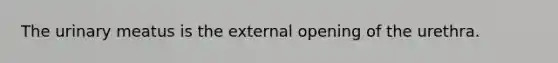 The urinary meatus is the external opening of the urethra.