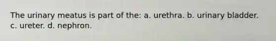 The urinary meatus is part of the: a. urethra. b. <a href='https://www.questionai.com/knowledge/kb9SdfFdD9-urinary-bladder' class='anchor-knowledge'>urinary bladder</a>. c. ureter. d. nephron.