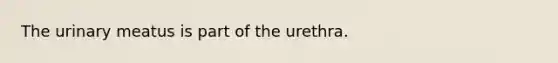 The urinary meatus is part of the urethra.