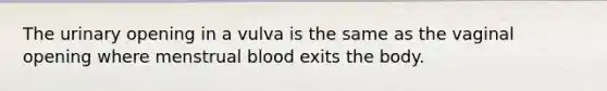 The urinary opening in a vulva is the same as the vaginal opening where menstrual blood exits the body.