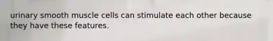 urinary smooth muscle cells can stimulate each other because they have these features.