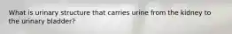 What is urinary structure that carries urine from the kidney to the urinary bladder?