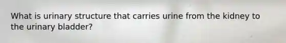 What is urinary structure that carries urine from the kidney to the <a href='https://www.questionai.com/knowledge/kb9SdfFdD9-urinary-bladder' class='anchor-knowledge'>urinary bladder</a>?