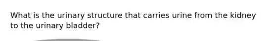 What is the urinary structure that carries urine from the kidney to the <a href='https://www.questionai.com/knowledge/kb9SdfFdD9-urinary-bladder' class='anchor-knowledge'>urinary bladder</a>?